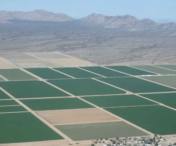 Agricultural field meeting evaluating soil and land conditions for farm development