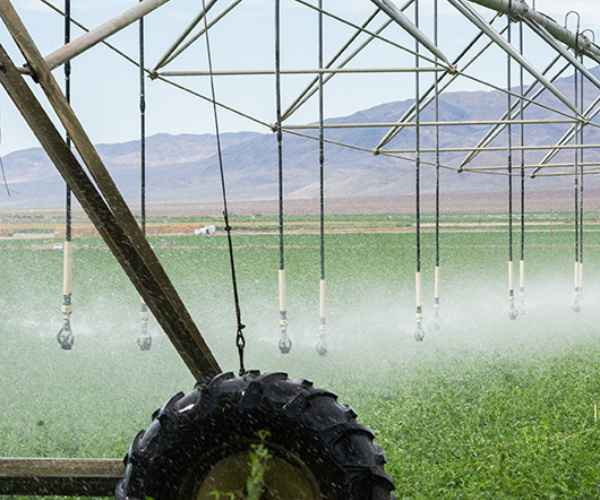 Agricultural field meeting evaluating soil and land conditions for farm development