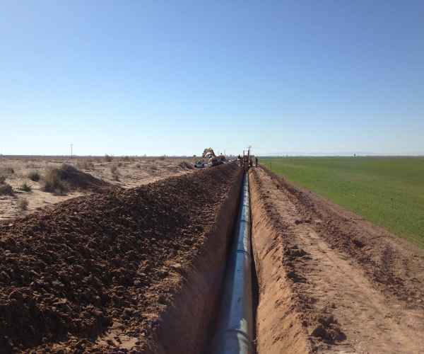 Agricultural field meeting evaluating soil and land conditions for farm development